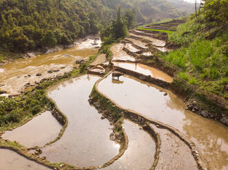 Luftaufnahme der Reisterrassen von Sapa in Vietnam. - AAEF05793