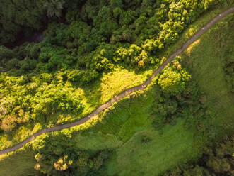 Luftaufnahme der Campuhan-Kammwanderung bei Sonnenuntergang in der Nähe von Ubud, Indonesien. - AAEF05810