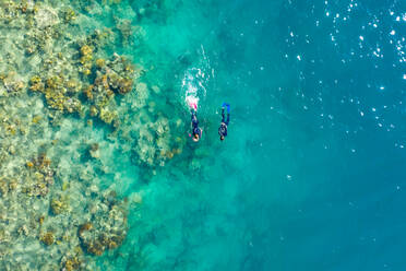 Luftaufnahme von zwei Personen beim Schnorcheln am Great Barrier Reef in Australien. - AAEF05837