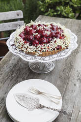 Tortenständer mit selbstgebackenem Erdbeerkuchen, verziert mit Holunderblüten - GWF06323