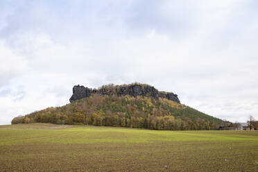 Deutschland, Sachsen, Nationalpark Sächsische Schweiz, Elbsandsteingebirge, Tafelberg, Lilienstein - WIF04111