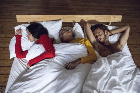 Drei Freunde schlafen zu Hause im Bett - MCF00534