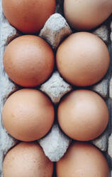 Overhead view of egg carton - CAVF69755