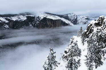 Hochformatige Ansicht von Bäumen und Bergen bei nebligem Wetter im Yosemite National Park - CAVF69798