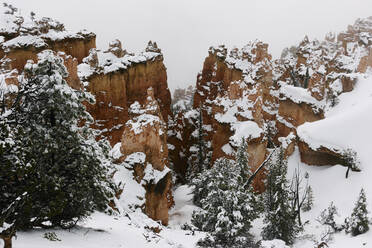 Blick von oben auf schneebedeckte Bäume und Berge im Bryce Canyon National Park - CAVF69801