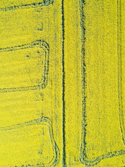 Aerial view of agricultural field at countryside, Girona, Spain. - AAEF05843