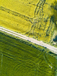 Luftaufnahme einer Landstraße, die ein landwirtschaftliches Feld durchquert, Girona, Spanien. - AAEF05845