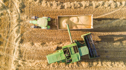 Aerial view above of machine harvesting agricultural field, Girona, Spain. - AAEF05856