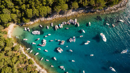 Aerial view of boats anchored at the shore of Otok Koludarc island, Croatia. - AAEF05934