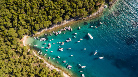 Luftaufnahme von Booten, die an der Küste der Insel Otok Koludarc, Kroatien, vor Anker liegen. - AAEF05935