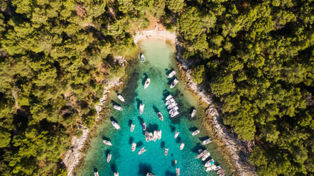 Luftaufnahme von Booten, die an der Küste der Insel Otok Koludarc, Kroatien, vor Anker liegen. - AAEF05936