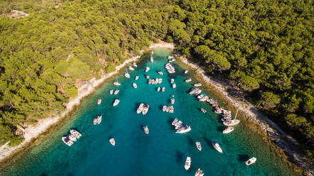 Aerial view of boats anchored at the shore of Otok Koludarc island, Croatia. - AAEF05937