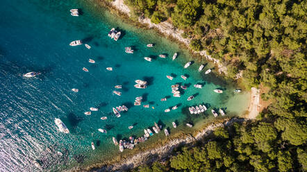 Luftaufnahme von Booten, die an der Küste der Insel Otok Koludarc, Kroatien, vor Anker liegen. - AAEF05938