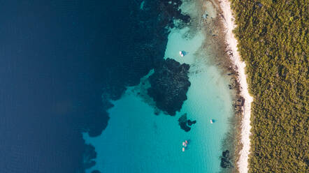 Aerial view of single speed boat floating over transparent water, Croatia. - AAEF05940