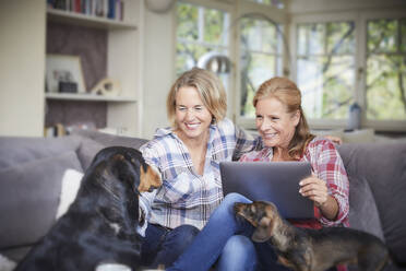 Zwei glückliche reife Frauen mit Hund und Laptop zu Hause - FMKF06046