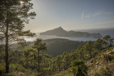 Blick auf Dragonera von einem Berg, Mallorca, Spanien - JMF00460