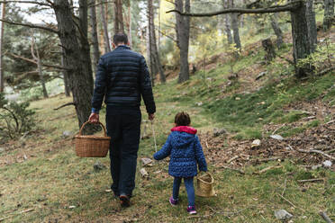 Father and daughter walking in the woods with stick and basket looking for mushrooms - GEMF03317