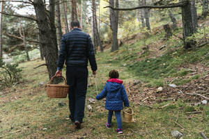 Vater und Tochter gehen im Wald mit Stock und Korb auf Pilzsuche - GEMF03317