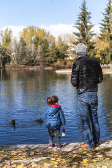 Rückenansicht von Vater und kleiner Tochter, die am Seeufer stehen und Enten füttern - GEMF03323