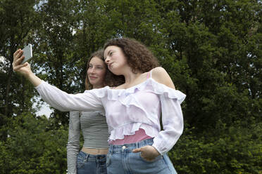 Two best friends taking selfie with smartphone in nature - PSTF00501