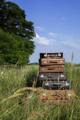 Stack of old leather suitcases on a meadow - PSTF00551