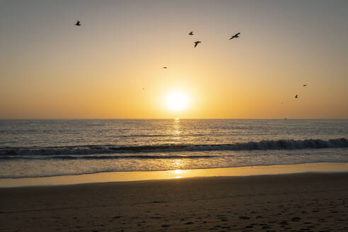 USA, Kalifornien, Los Angeles, Vogelschwarm fliegt über Küstenstrand des Pazifischen Ozeans bei Sonnenuntergang - SEEF00064
