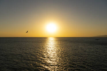 USA, California, Santa Monica, Sunset over Pacific Ocean - SEEF00070