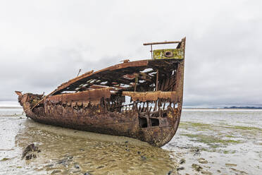 Neuseeland, Tasmanischer Bezirk, Motueka, Schiffswrack der Rusty Janie Seddon - FOF11345