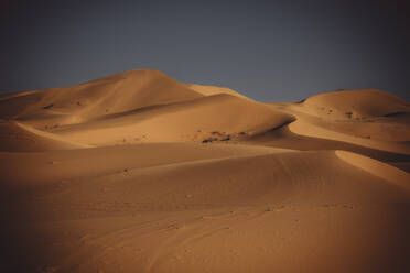 Dunes of sahara desert at sunset - CAVF69815