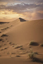 Linien und Dünen in der Wüste Sahara - CAVF69819