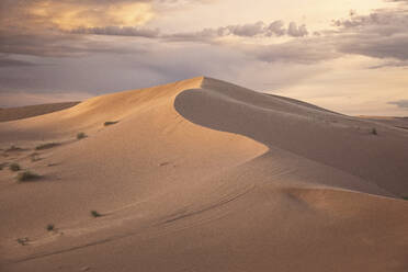 Dunes of sahara desert at sunset - CAVF69822