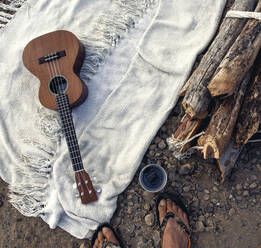 Ukelele und freies Camp auf der Straße - CAVF69893