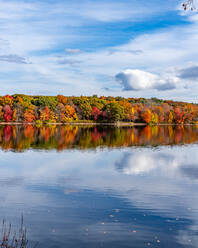 Bunte Herbstbäume spiegeln sich im See unter blauem Himmel. - CAVF69947