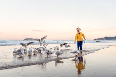 Happy little boy sharing snacks with seagulls - CAVF69995
