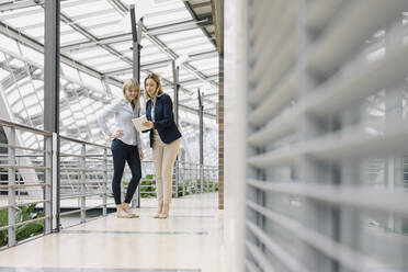 Two young businesswomen sharing tablet in modern office building - JOSF03834