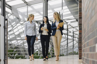 Three businesswomen with tablet walking and talking in modern office building - JOSF03878