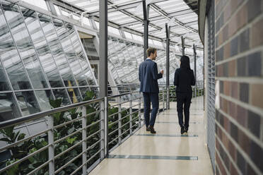 Rear view of businessman and businesswoman walking in modern office building - JOSF03896