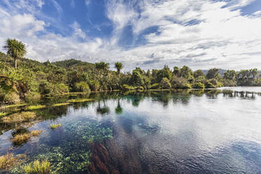 Neuseeland, Tasmanische Region, Takaka, Blick auf die Te Waikoropupu-Quellen - FOF11368