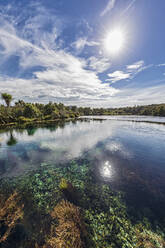 Neuseeland, Tasmanische Region, Takaka, Sonnenschein über Te Waikoropupu Springs - FOF11369