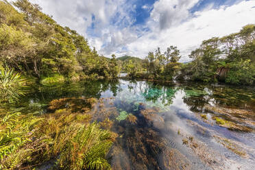 Neuseeland, Tasmanische Region, Takaka, Blick auf die Te Waikoropupu-Quellen - FOF11370