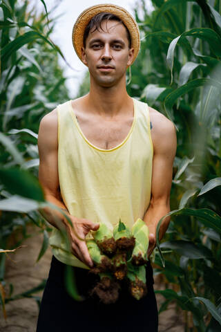 Porträt eines Bauern mit Hut auf einem grünen Feld, der den Mais aufliest., lizenzfreies Stockfoto