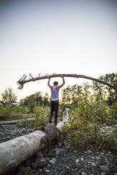 Man carefully balances tree above head while walking on log. - CAVF70189