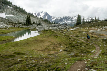 A man hikes on an alpine trail on a cloudy summer day on Blackcomb Mountain in BC. - CAVF70202