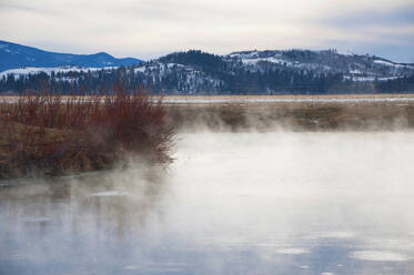 Natural Hot Springs in the winter, Jackson Hole - CAVF70206