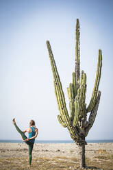 Rear view of woman doing bird of paradise yoga while standing by cactus at beach against clear sky - CAVF70422