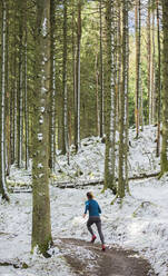 Frau joggt im verschneiten Wald - HOXF04422