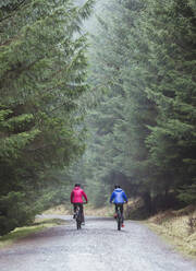 Couple mountain biking in woods - HOXF04424