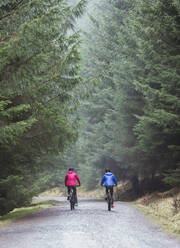 Pärchen beim Mountainbiken im Wald - HOXF04424