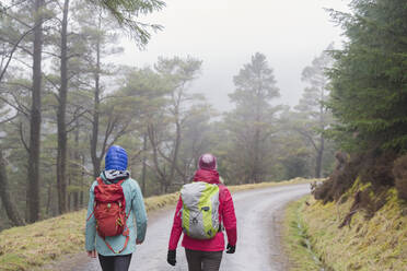 Frauen wandern im Wald - HOXF04437