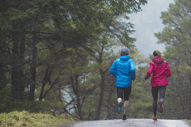 Pärchen joggt im Wald - HOXF04462